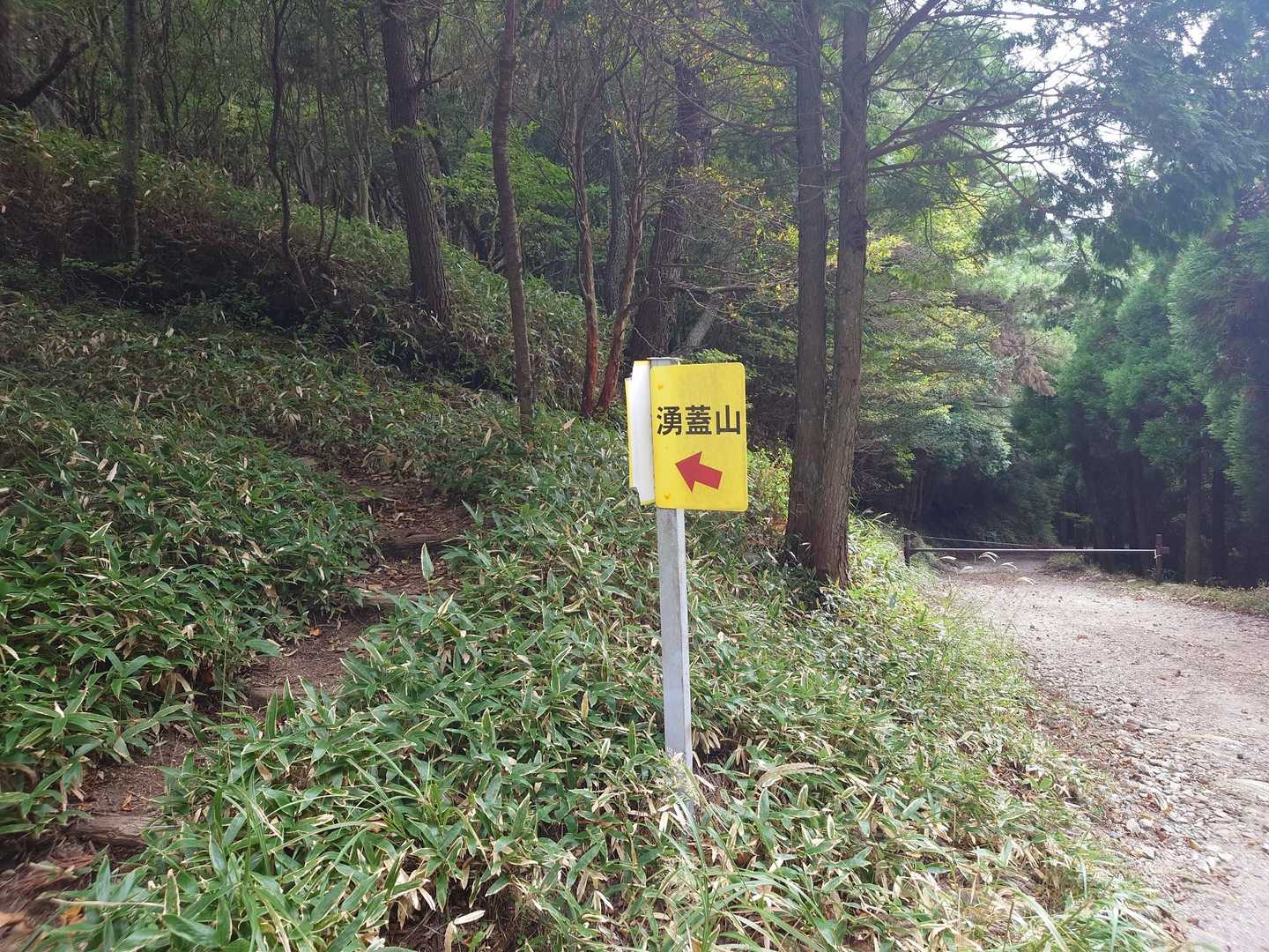 草むら抜けて、林道歩いて、ここから登っていきますよ⛰️

見落として、そのまま林道歩かないよう注意だね⚠
