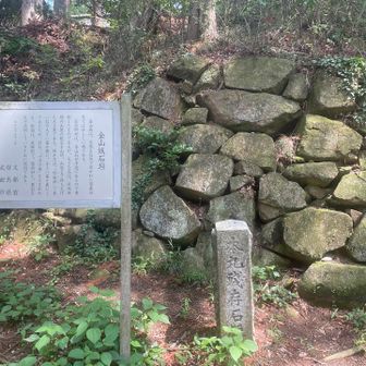 金山城跡には、石垣が残っていました。