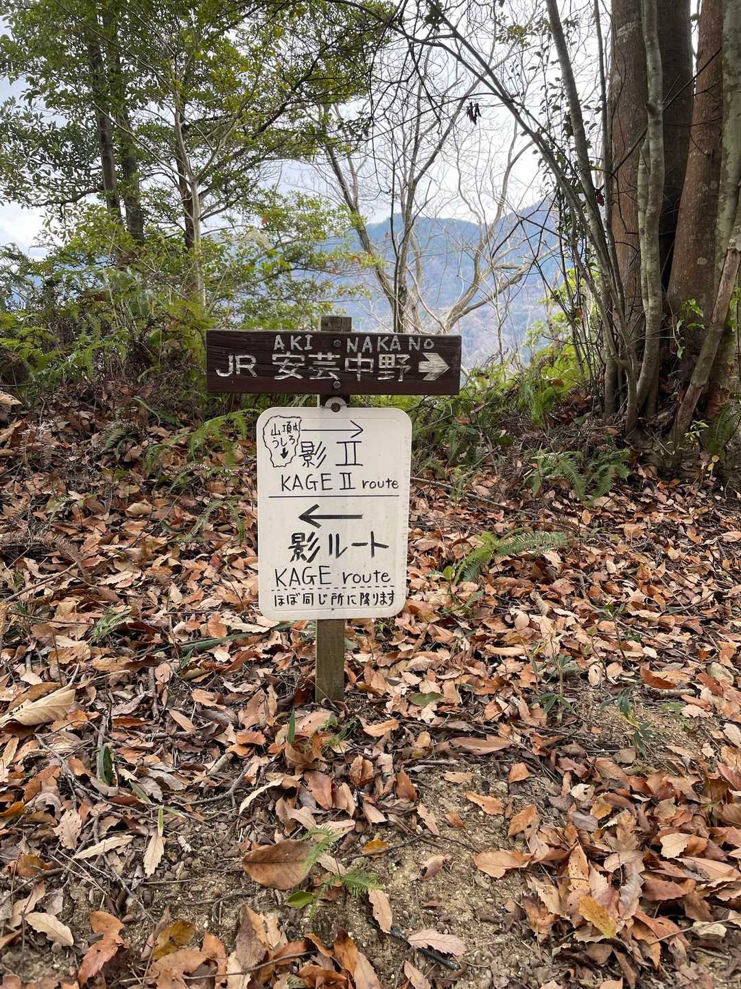 今日は左へ