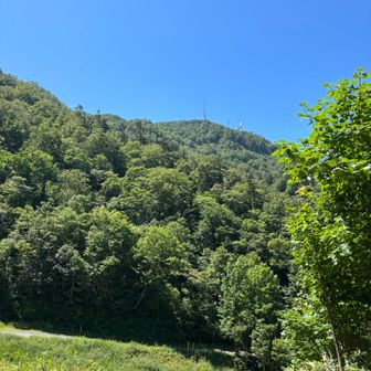 名残惜しく山頂を見上げる。なかなかの高度感。
