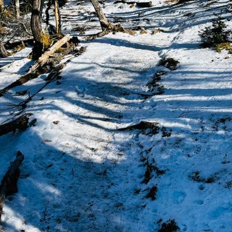 日陰は雪☃️🩷