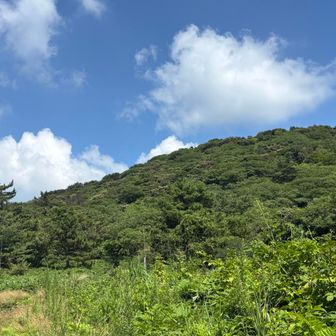 あちあち☀️