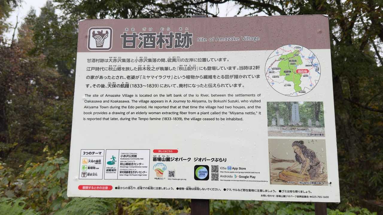 信越トレイル#5（sec.10-9-8／苗場山〜小赤沢〜結東〜森宮之原駅）、完走！ の写真 46