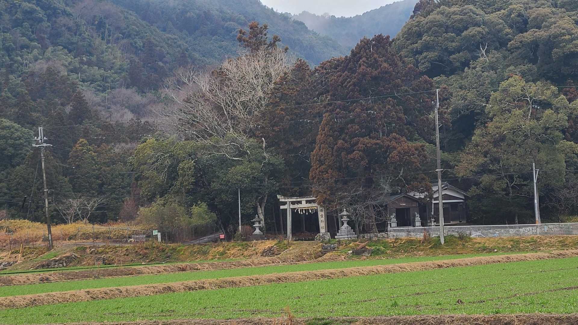 若宮神社の横の道から登ります
