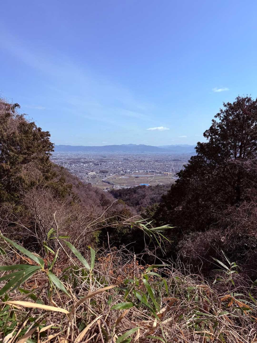 鳶塚-二上山-ながめ坂 周回コースの写真