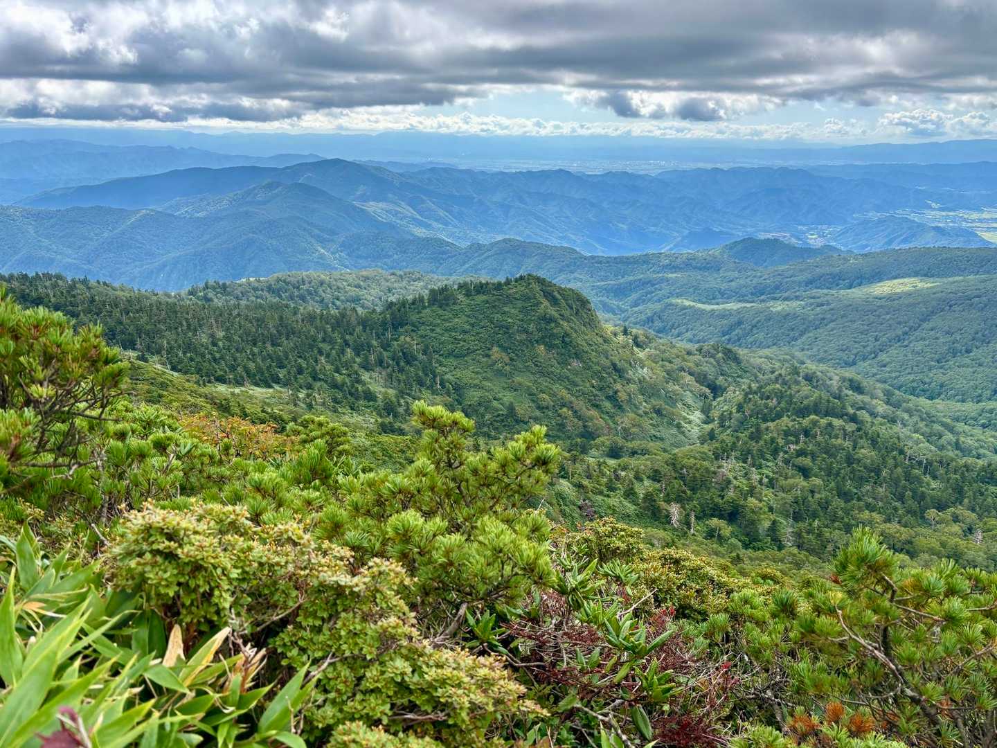 不忘山の山容見たかったなぁ😭
おしまいです！