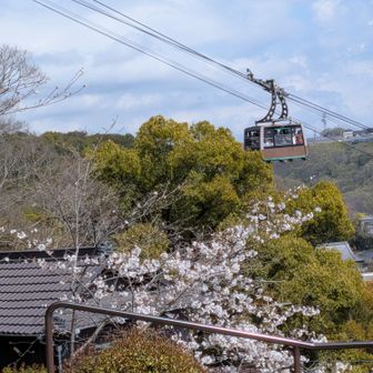 週末はものすごい人でしょうね🤗