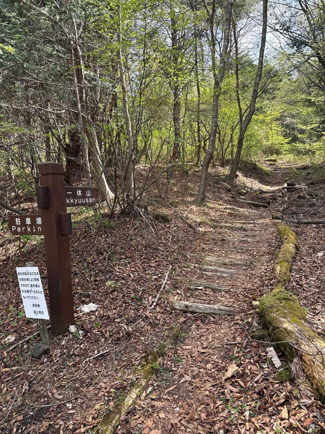一休山 往復コースの写真
