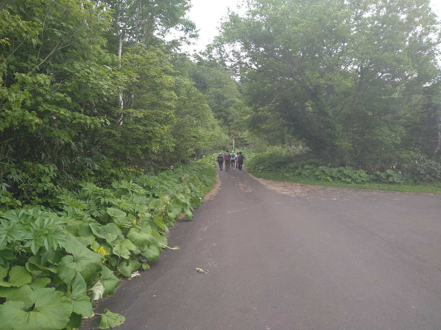 お疲れ様です