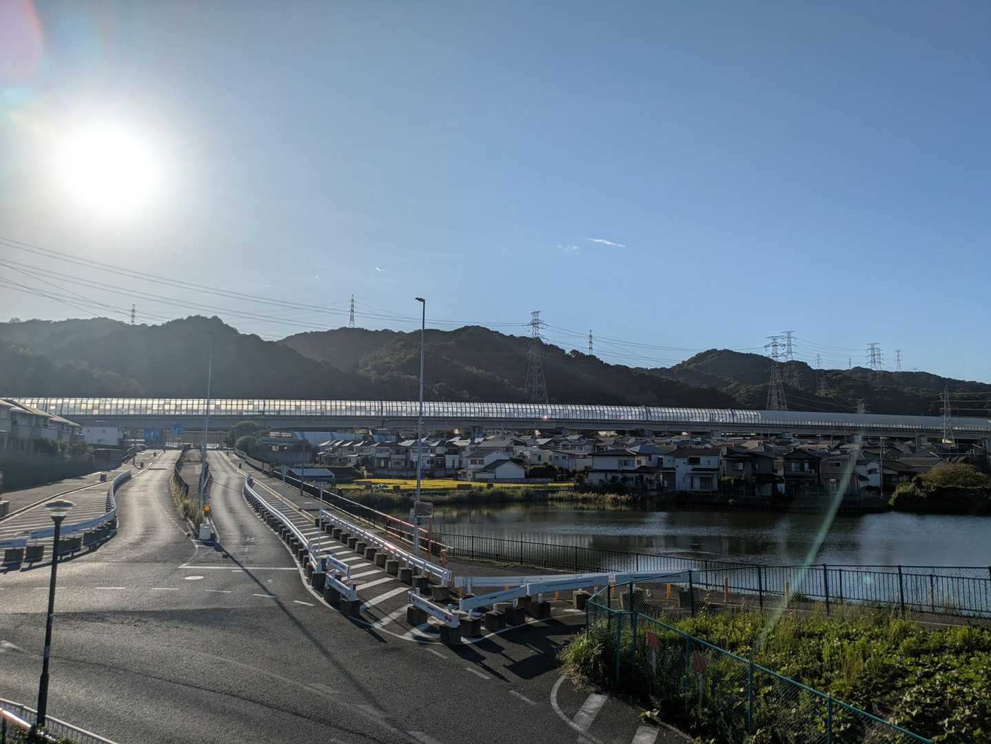 歩道橋の上でくつろぐ大お姉様に挨拶をしてこれから交野山を登ってきます!と言ったら、ここに長く住んでるけどそんな山があるの？と言われたのでたぶんあの山だと思いまーすと伝えました(笑)