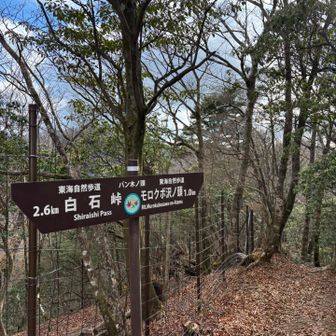 バン木ノ頭⛰️