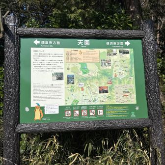 この近辺に、横浜市最高で地点の看板があったらしいです。
山降りた後で知りました😂