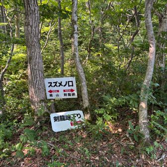 しばし歩いて少し休憩🥾
先はまだまだ長いので焦らずに