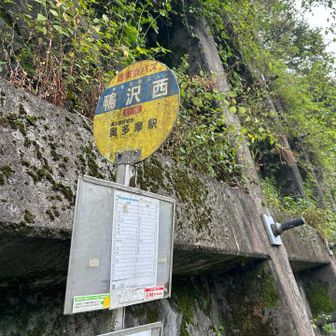 ここからバスの本数増えます。