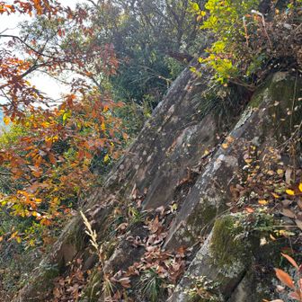 下から見たら、伝説の柱石（はしらいし）？