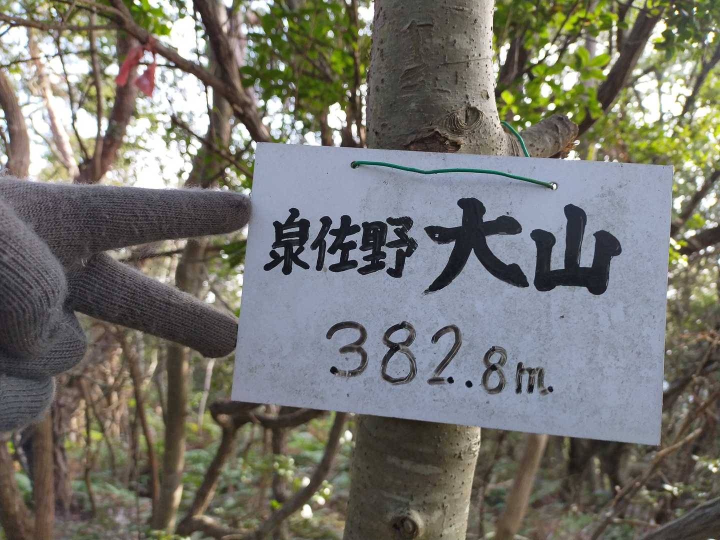 大山登頂！
