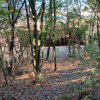 木製看板「内藤建設」まで戻りました
有刺鉄線で囲ったフェンスのところです