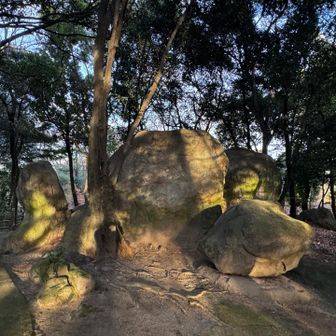 こんな大きな石が！