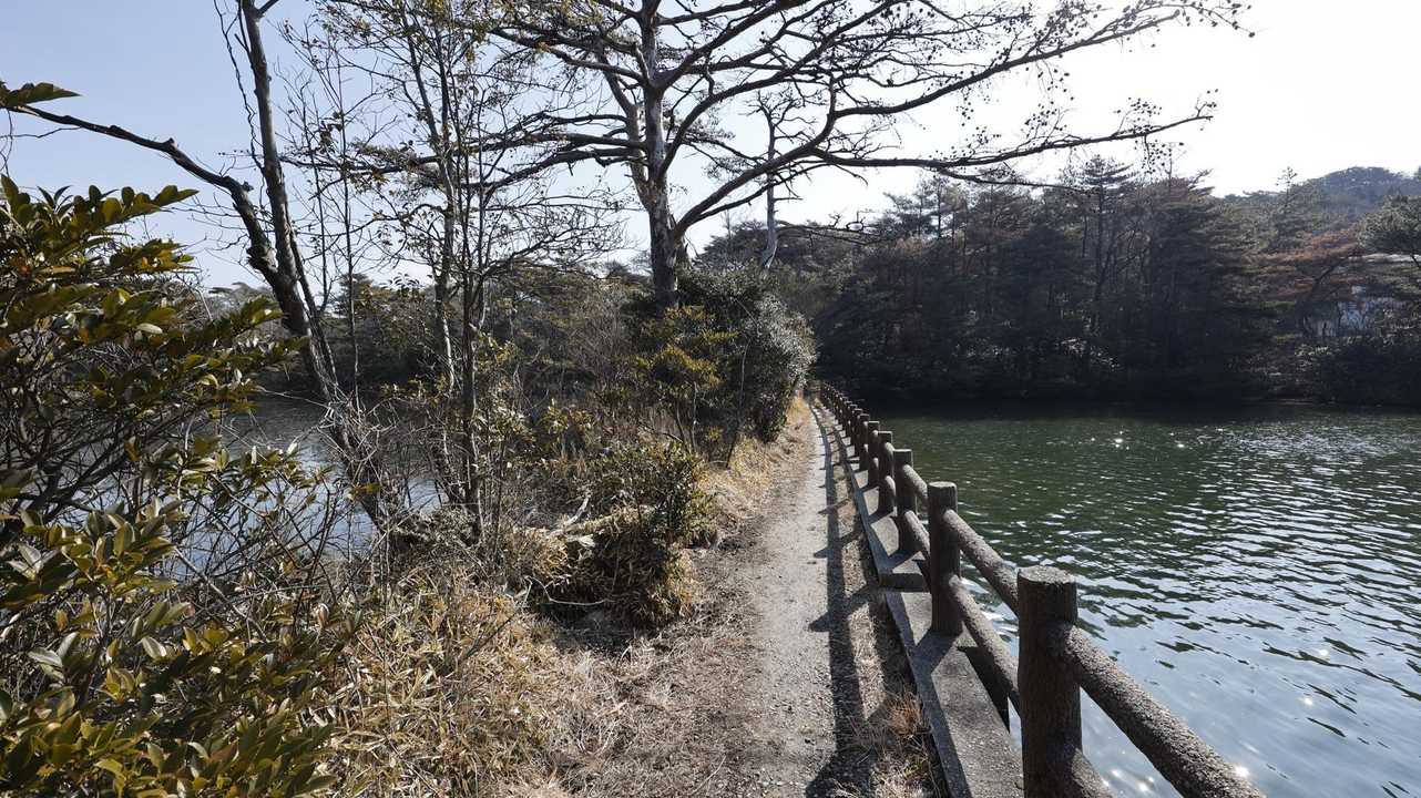 六甲ハイカー（六甲全山縦走路） の写真 17