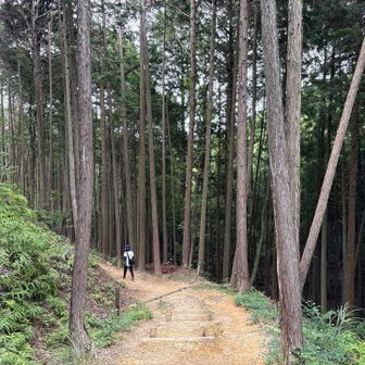 綺麗に整備されて登りやすいお山でした⛰️
ありがとうございました🙇🏻