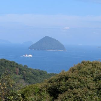 つくみ島の前をフェリー⛴️が