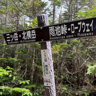 雨池山に到着
雨池峠に下ります
岩の多い急坂です