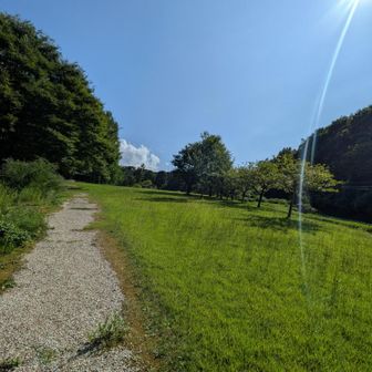 いい天気です