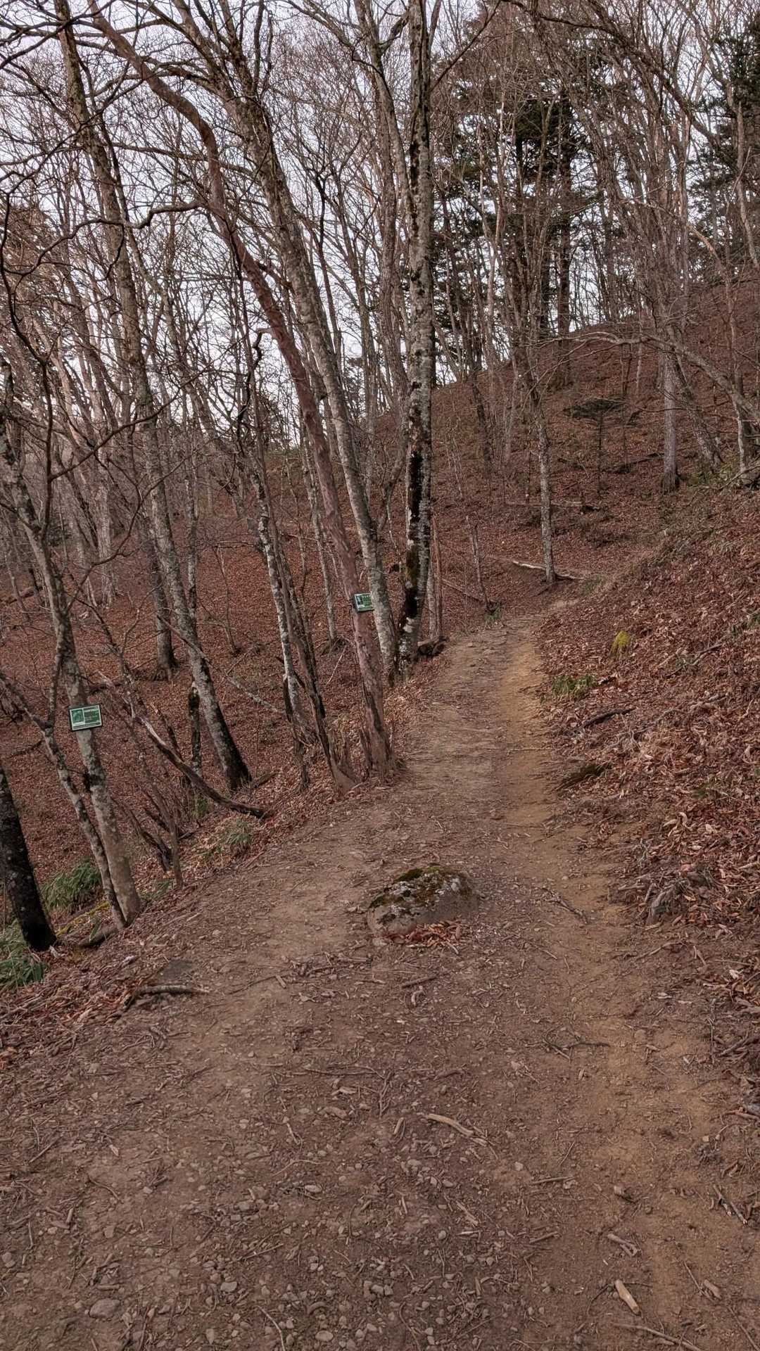 神金第二小・中学校入口バス停-黒川鶏冠山-横手山峠-六本木 縦走コースの写真