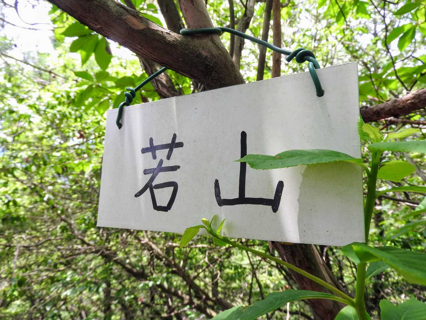はい到着