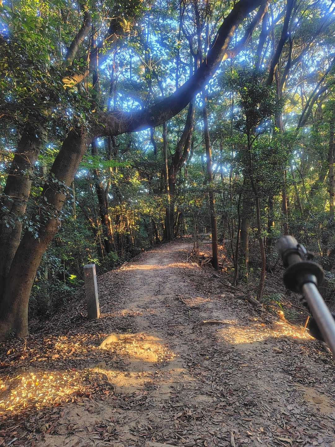 武蔵寺・天拝山 往復コースの写真