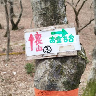 次は、表山へ。
分岐を裏山方面へ。
そして、後からやって来ているYAMA日和メンバーが表山に向かっているとの連絡があったので、表山へ急ぎます。
上手く会えるといいね。