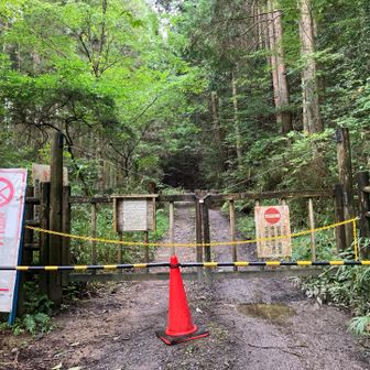 歩行者も通行禁止😓
物見山に行けず、里山サテライトまで戻ります…💦