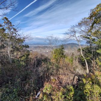 ちょっと木々多め