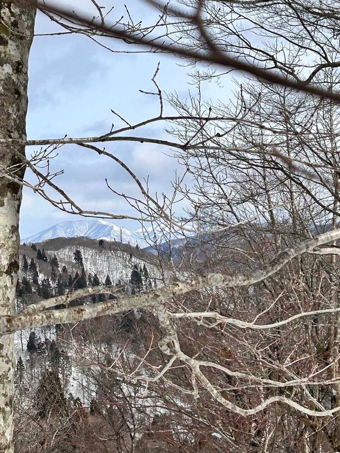 奥に綺麗な雪山が見えます😍