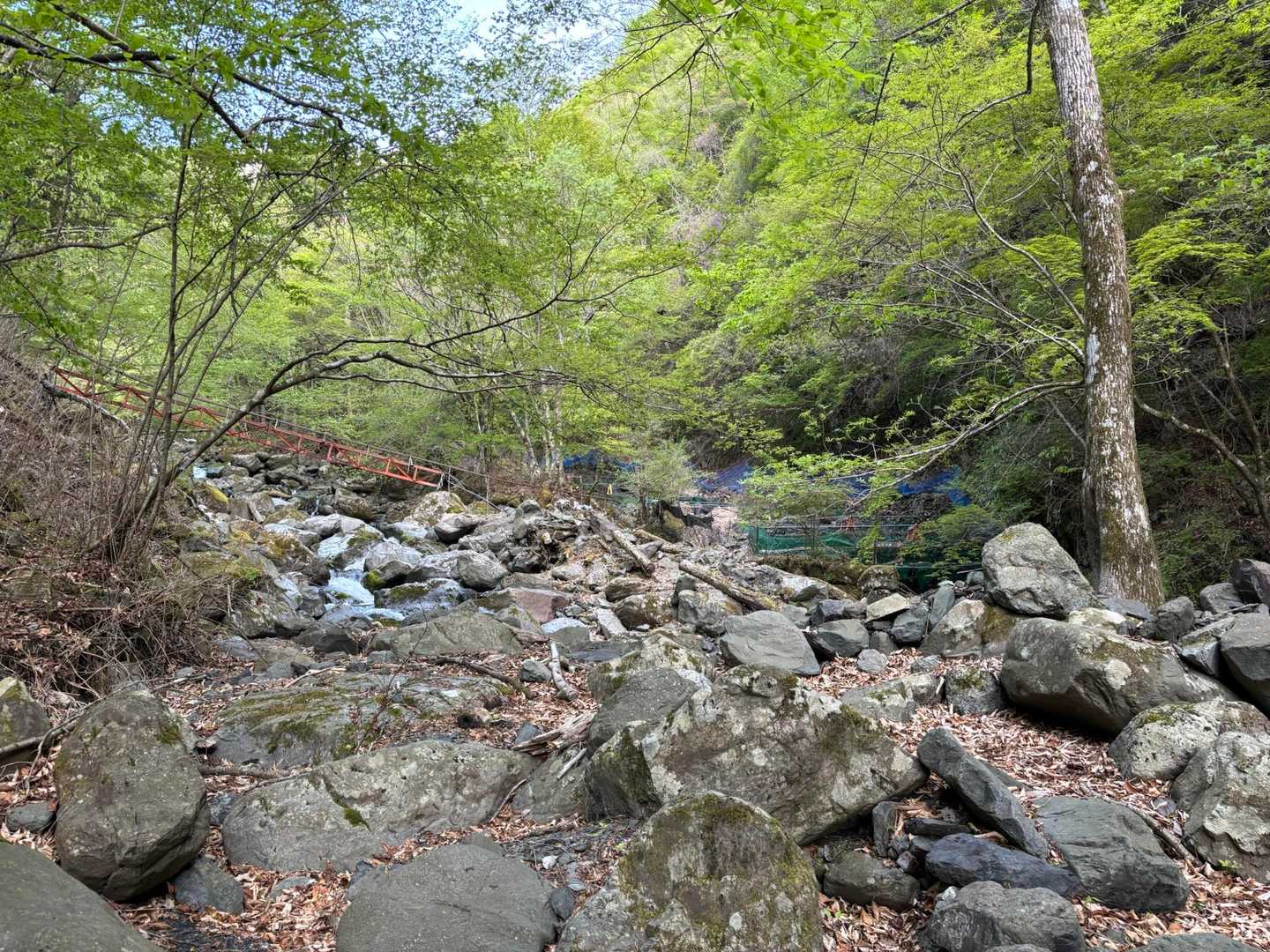 山伏登山口-蓬峠-山伏-大平沢ノ頭-新窪乗越-大谷崩登山口 周回コースの写真