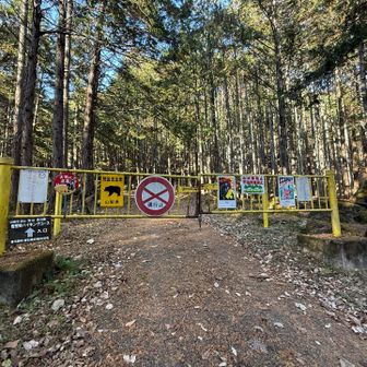 ここから降りてきました。