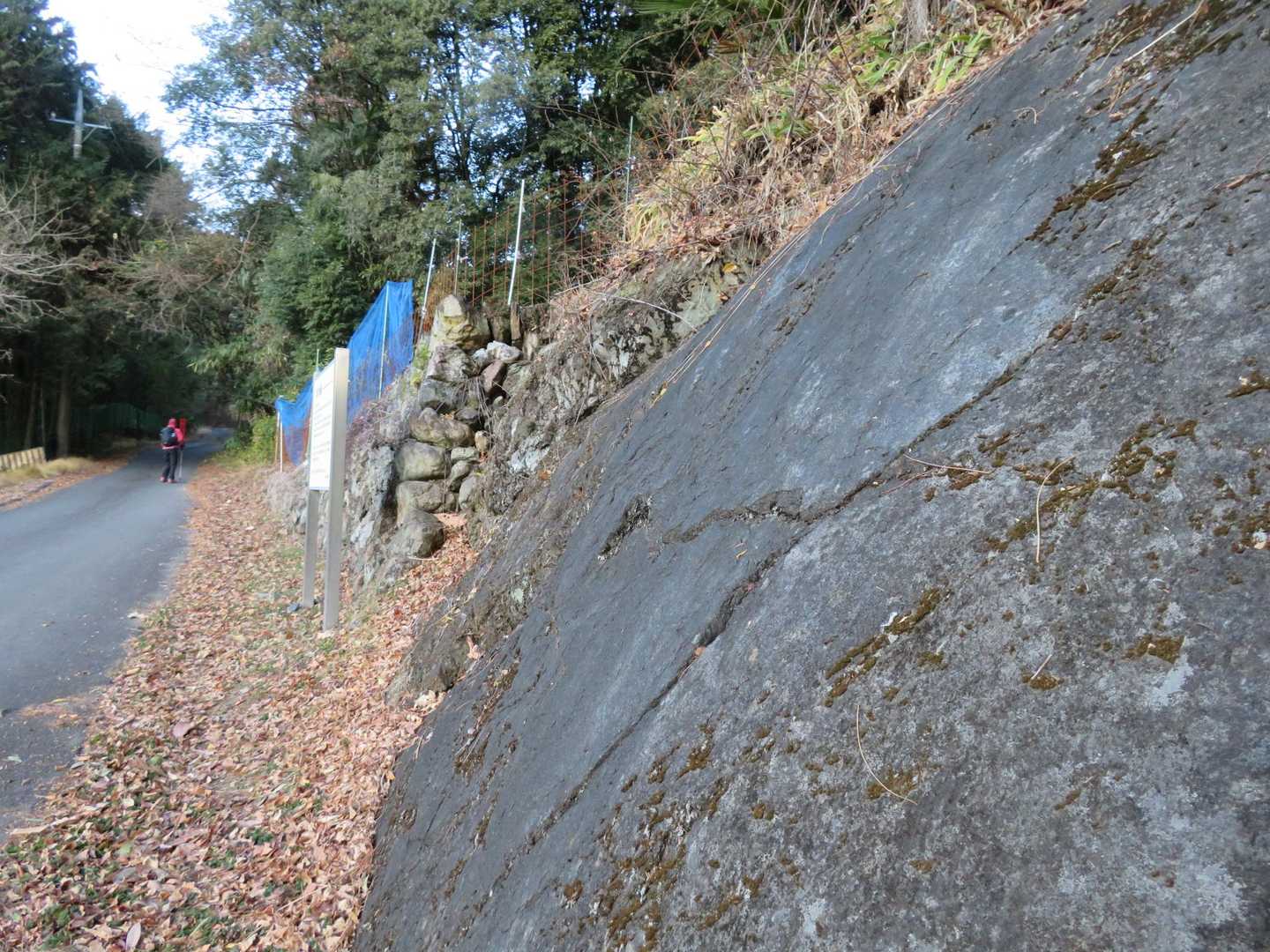 断層面が光沢のある面で手で触ると方向性が分かるらしい。(文を最後まで読まなかったので･･･さわらず分からず。)