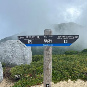 駒石
ガスってきたと思ったらポツポツと雨が降り始めた…