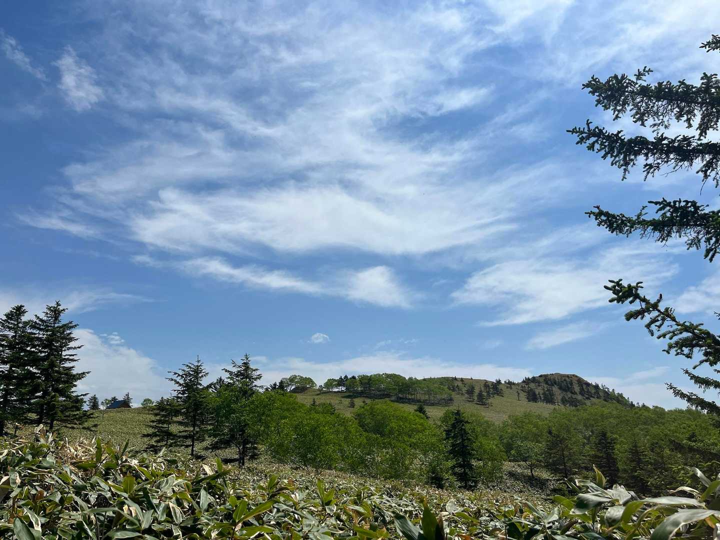 左に小屋と右に山頂✨️見えてきた