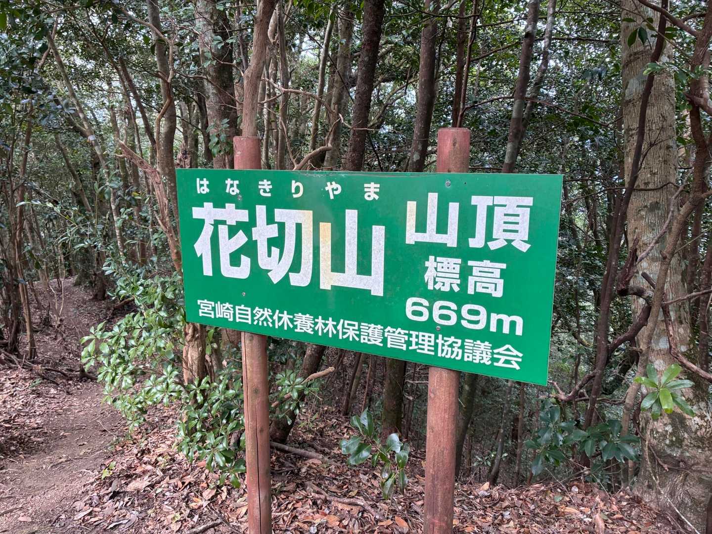 はじめましての花切山🙌