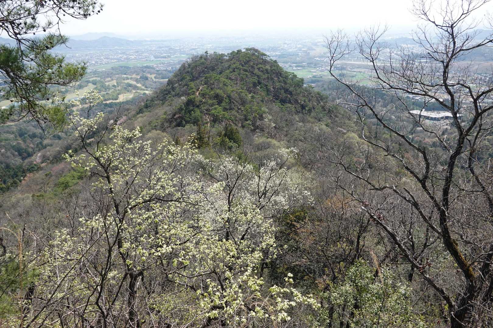 出尾根コース登山口-三床山 周回コースの写真