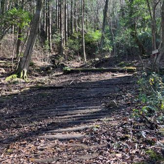 ⚠️下りの最後に丸太を敷き詰めた箇所があります。滑ります。端の丸太じゃないところを通りました。