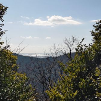 三河湾が見える