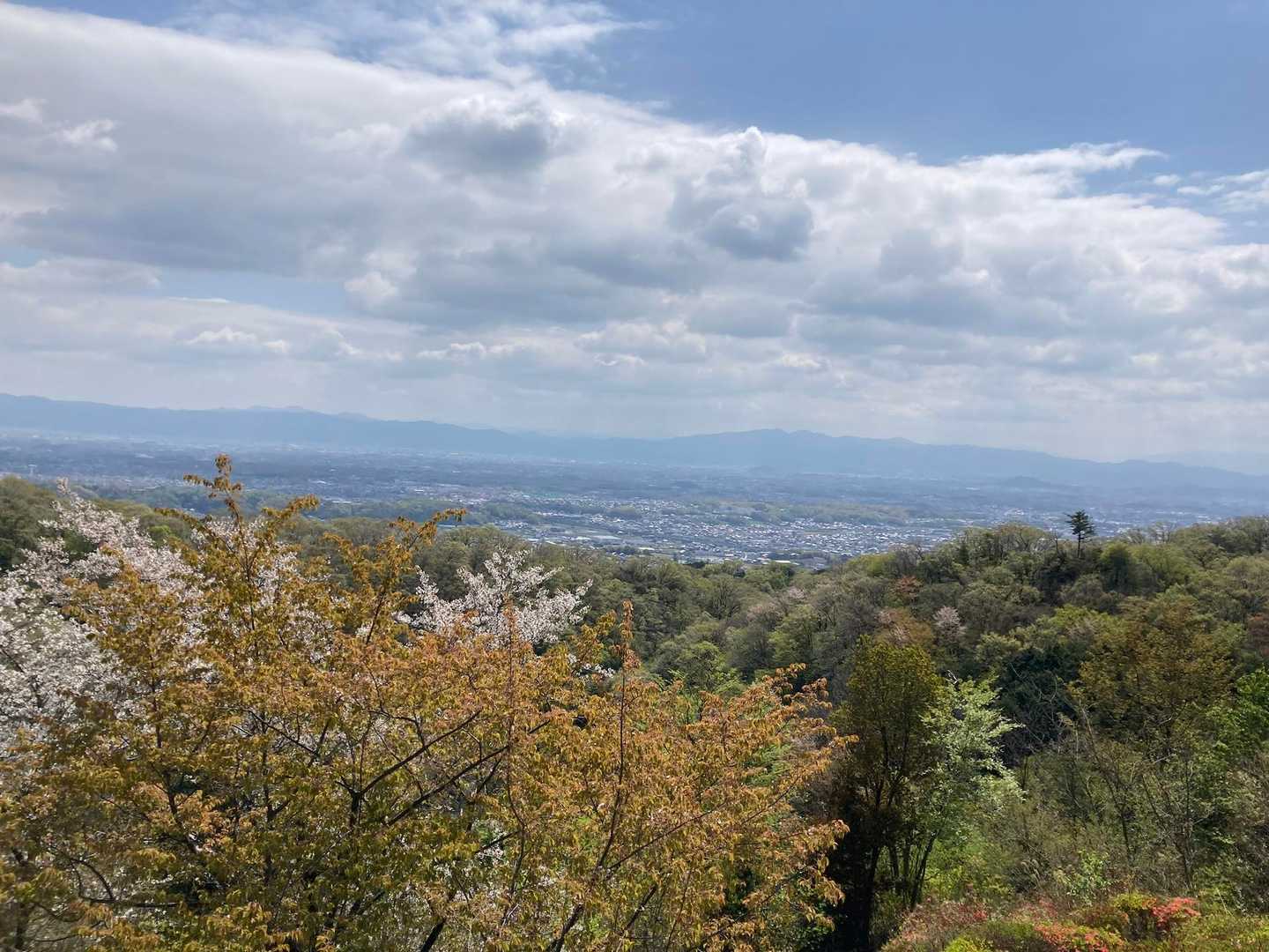 360°見渡せます