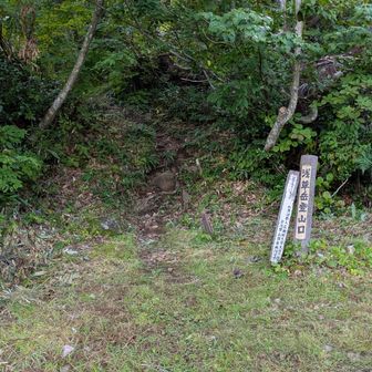 浅草岳登山口からブナ曽根コースの山道に入ります。