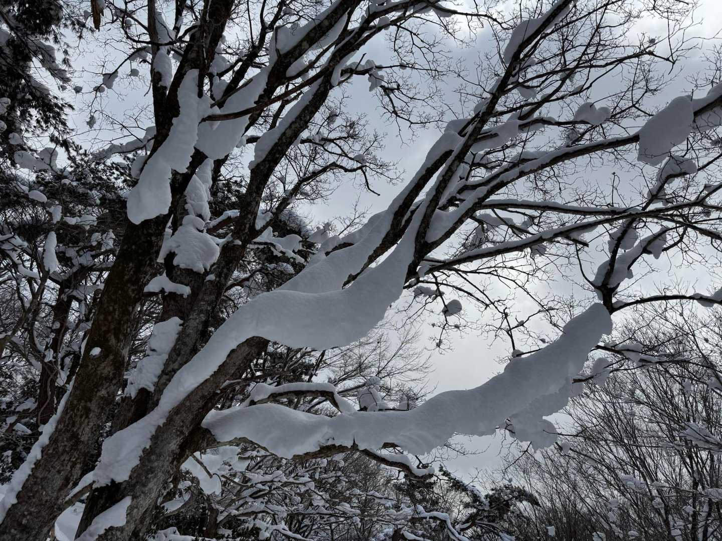 東山 周回コースの写真