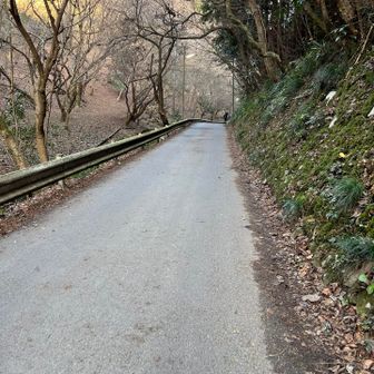 登山道終わって帰ります