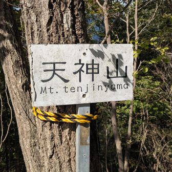 ここの少し先に景色の良い場所があります