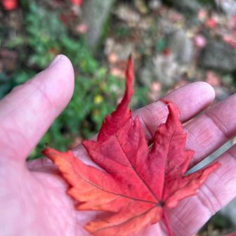 よっちゃん★♪