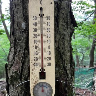 稜線は日陰なので、山頂よりは若干涼しく、22〜23℃くらい